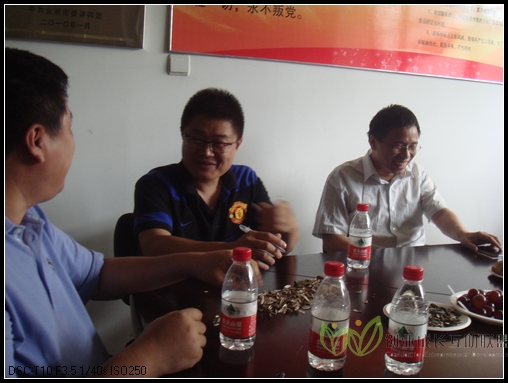 DSC00805.jpg