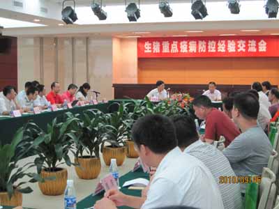 20100910151152176.jpg