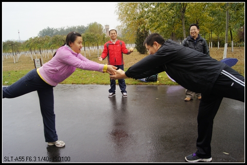 nEO_IMG_DSC06348.jpg