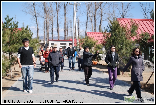 DSC_6160.jpg