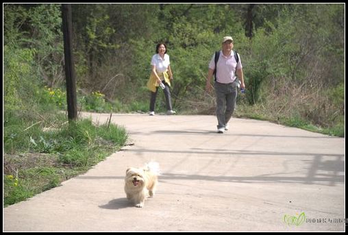 nEO_IMG_DSC_6691.jpg