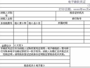 国家税务总局关于推行纳税人网上开具缴款凭证有关工作的通知
